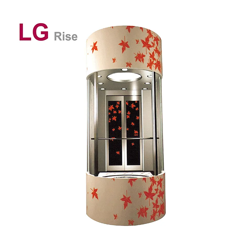 Thang máy toàn cảnh LG-G hình bán nguyệt - Ảnh 2