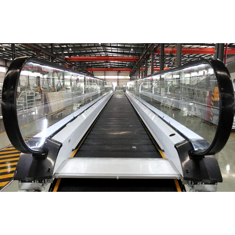 Đường đi bộ di động LG - Ảnh 3